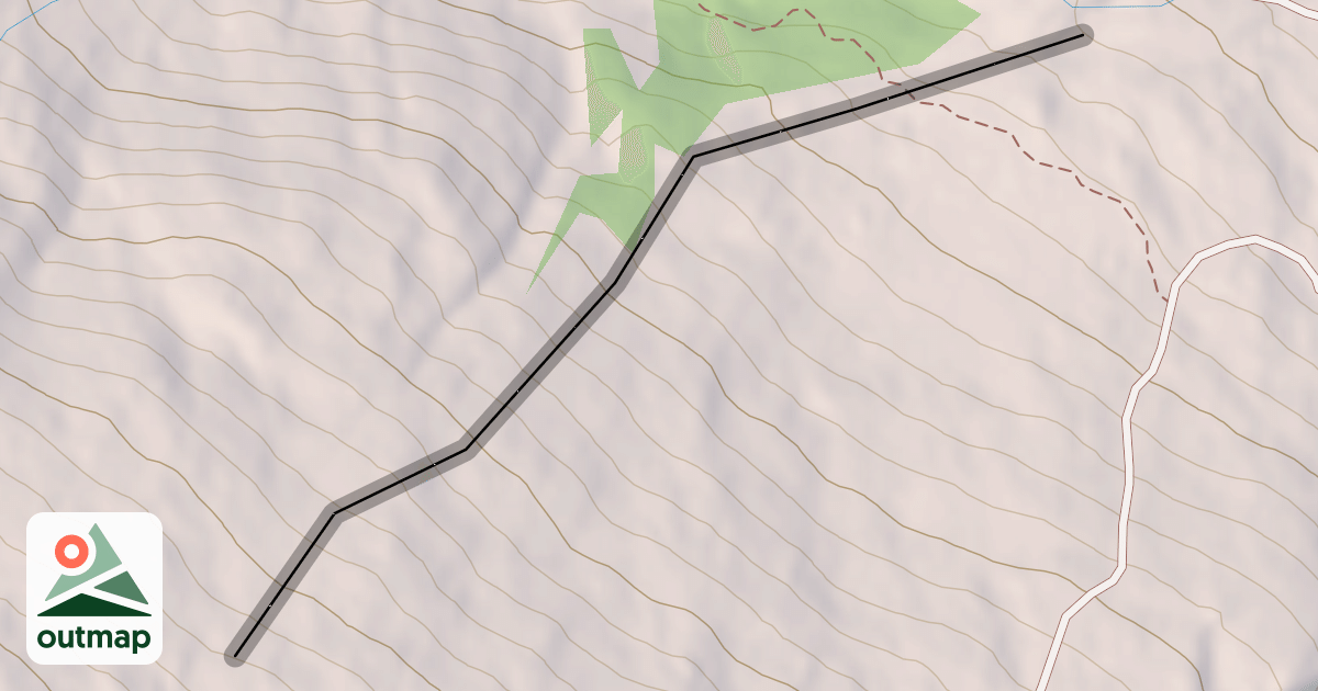 Map of Forget Me Not