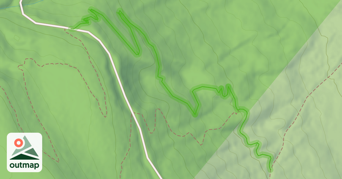 Map of Easy Tiger (lower)