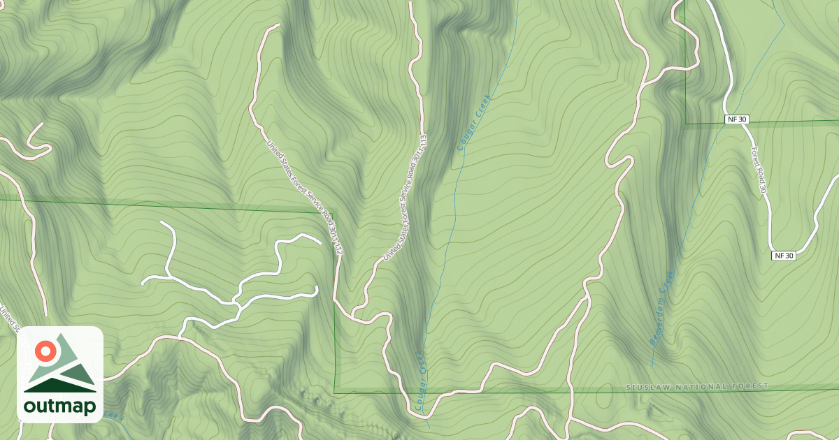 Map of USFS National Forest System Roads {4B4EB922-0285-4194-A4E3-37D3DE689D45}