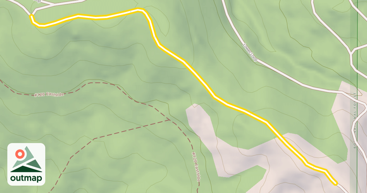Map of Lower Loop