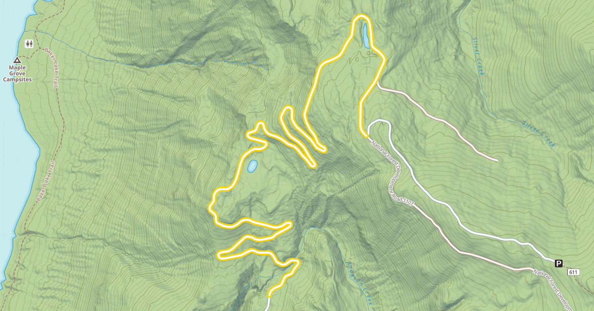 Map preview of National Forest Development Road 1107