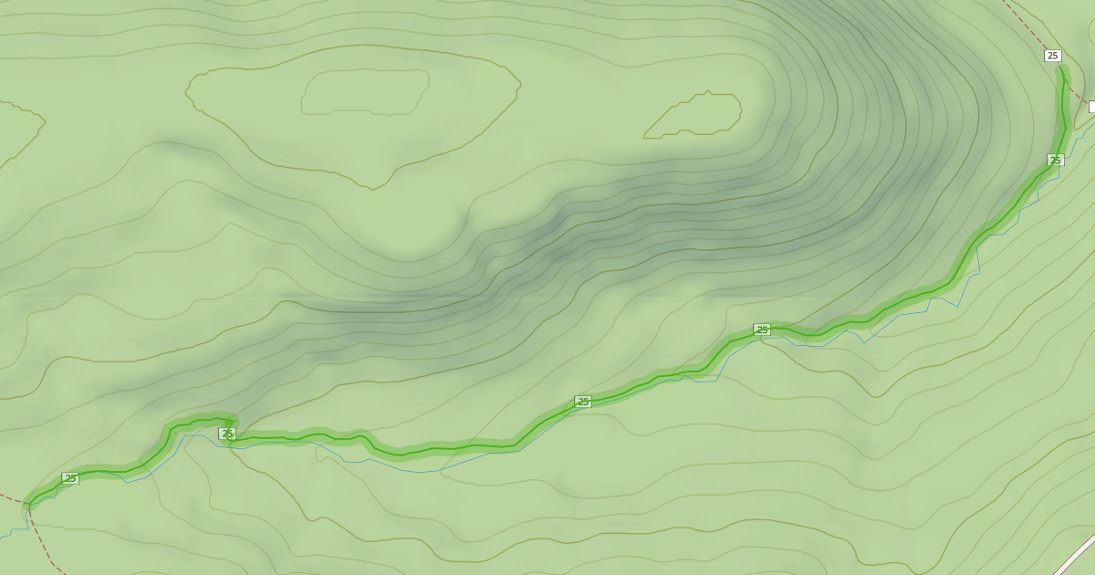 Map preview of South Fork Trail #25