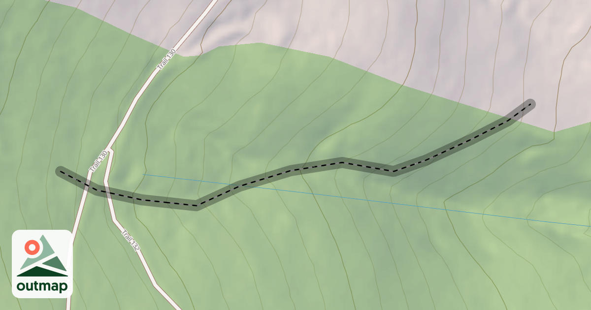Map of Lost woods