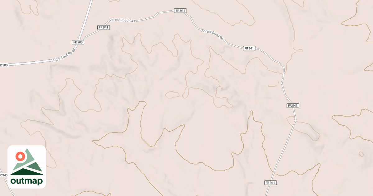 Map of USFS National Forest System Roads {4655B0E1-6B41-4CFC-93E5-9C28D5224E74}