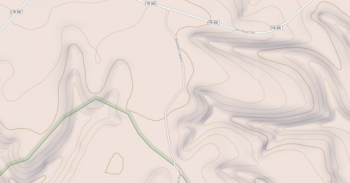 Map preview of USFS National Forest System Roads {97F6B869-7E88-48A1-8A6F-7631439DD1B4}