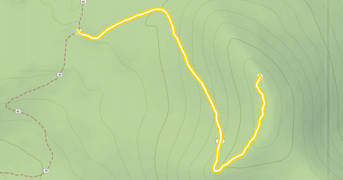 Map preview of Vista Butte Trail #40.2