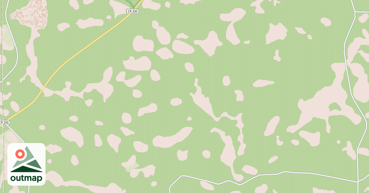 Map of USFS National Forest System Roads {EC96FA1B-D34E-41E3-AAB8-267EBA134AE4}