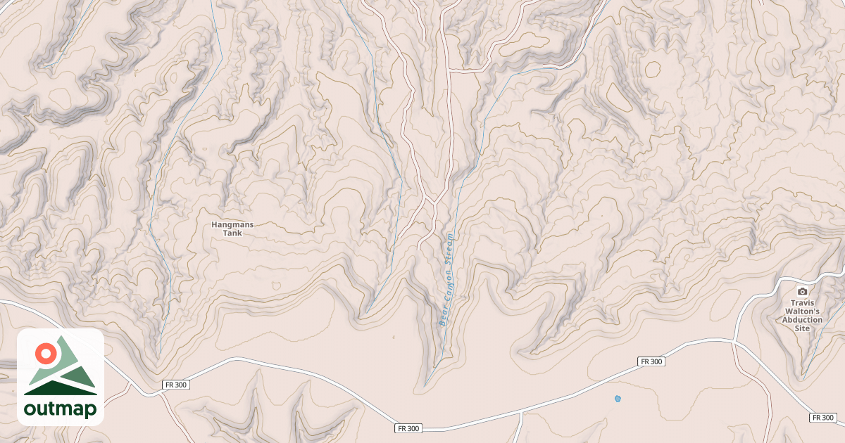 Map of USFS National Forest System Roads {2595B857-6580-4B28-A052-21D8339EDA75}