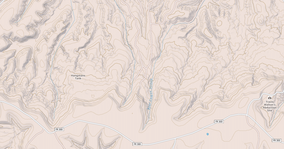 Map preview of USFS National Forest System Roads {2595B857-6580-4B28-A052-21D8339EDA75}