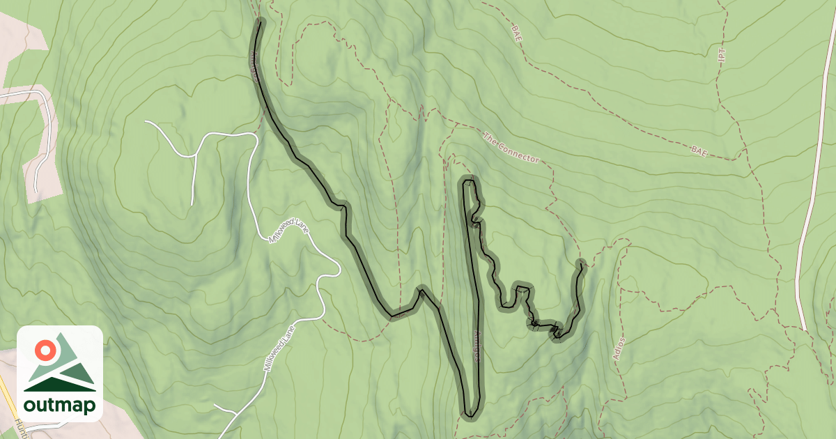 Map of Amigos