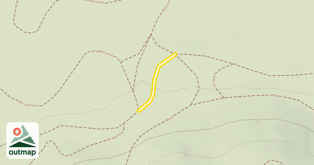 Map of Bear