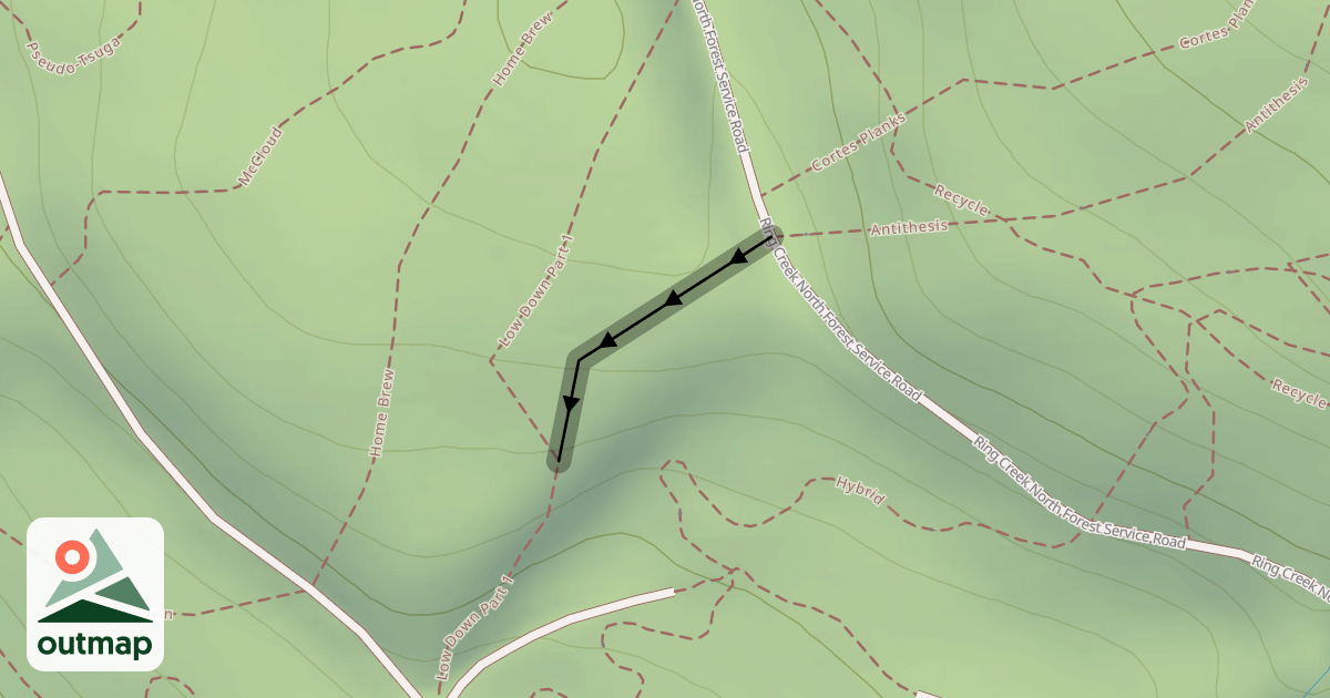 Map of East Infection