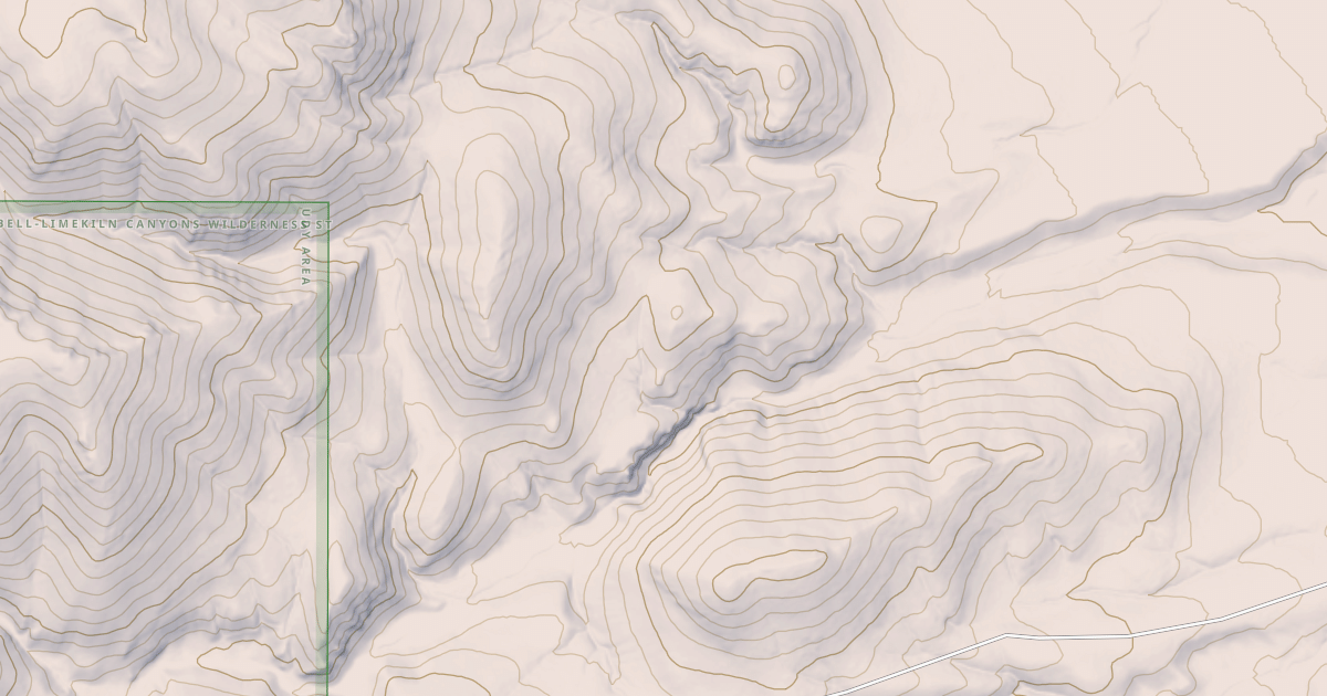 Map preview of BLM National GTLF Public Motorized Roads 8cc3f5eb-0ee5-44f5-9b6b-bfe04fedf33b