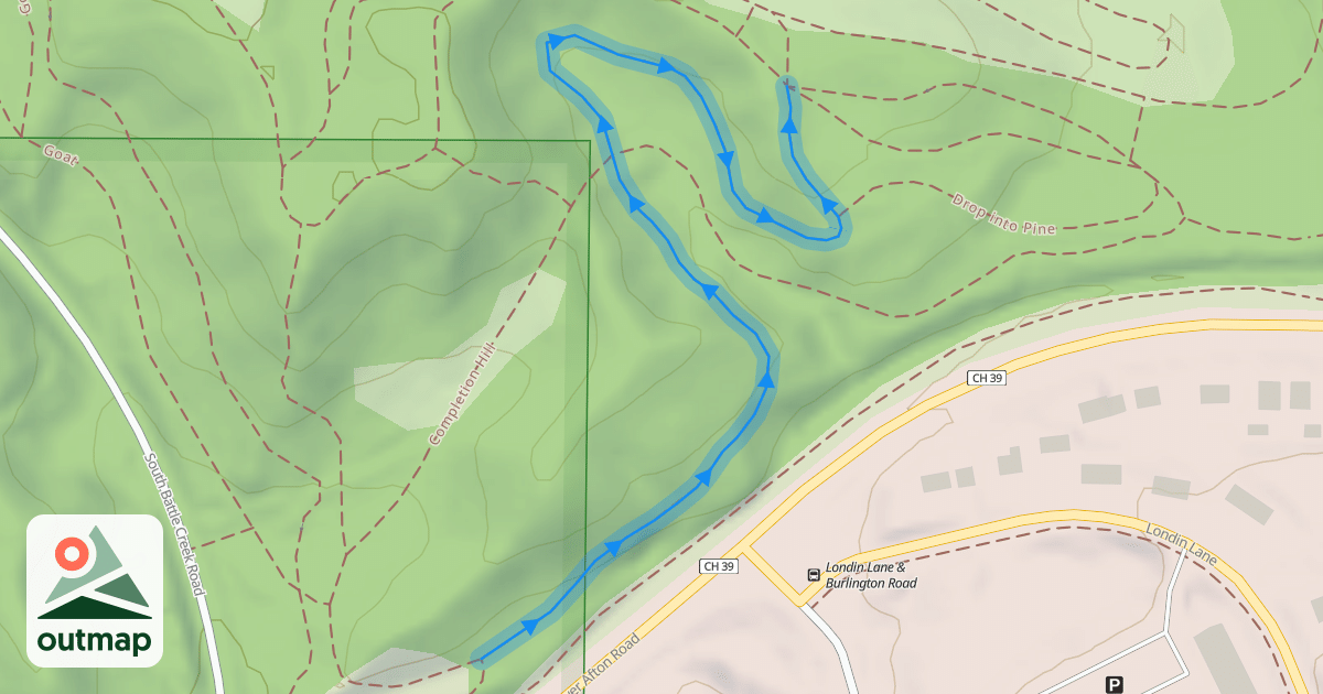 Map of Fern Gully