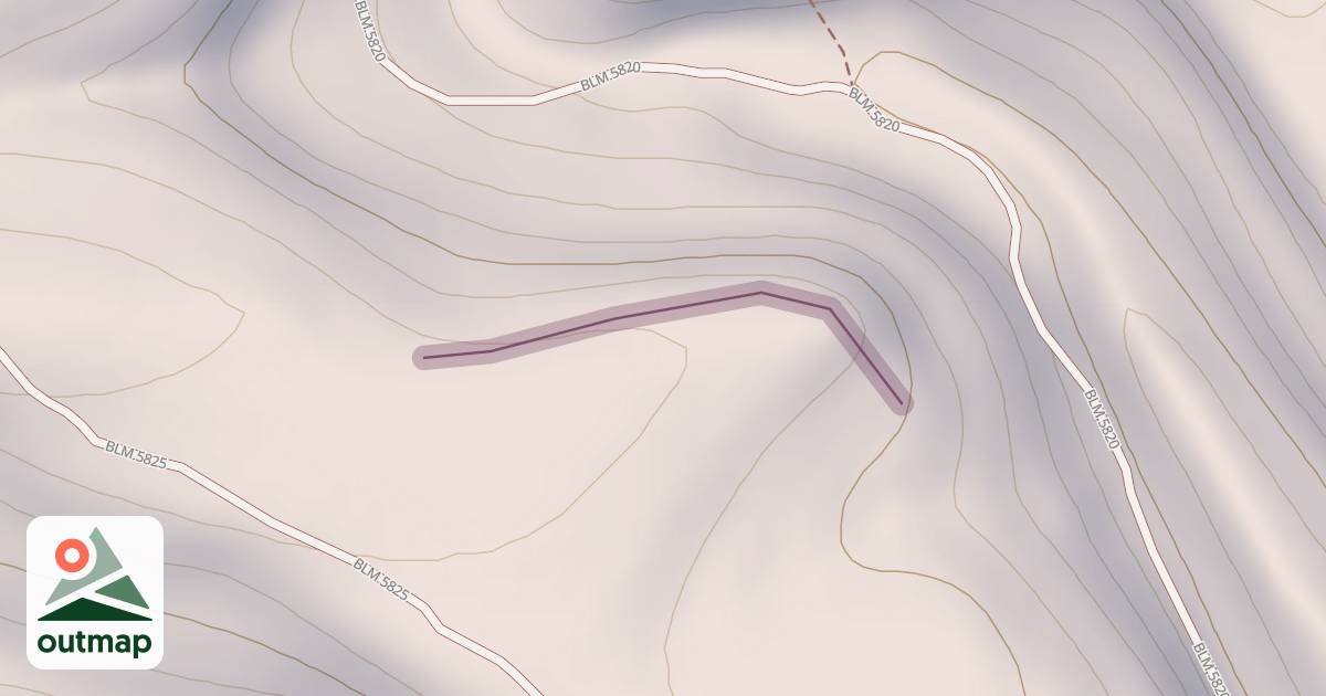 Map of Cactus Rose