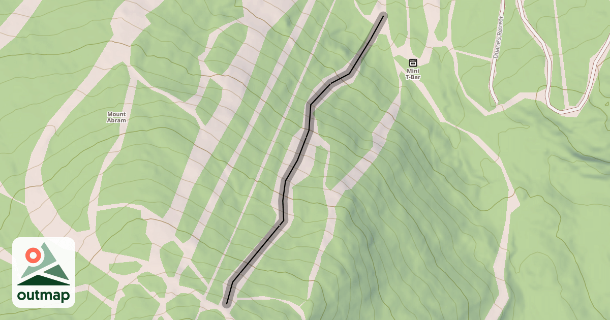 Map of Fearless Leader