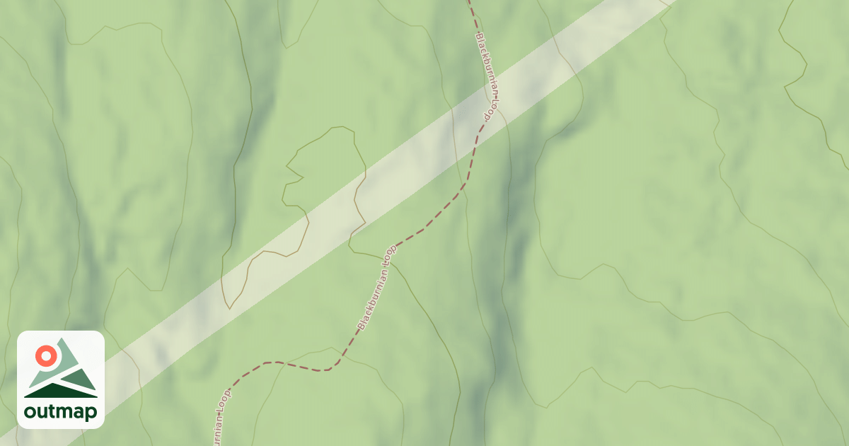 Map of Blackburnian Loop