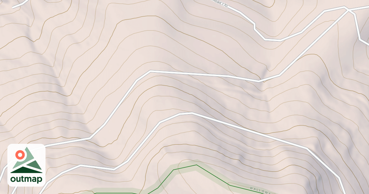 Map of USFS National Forest System Roads {AEA69EB6-874C-48BE-BB90-3459ADF4BBEB}