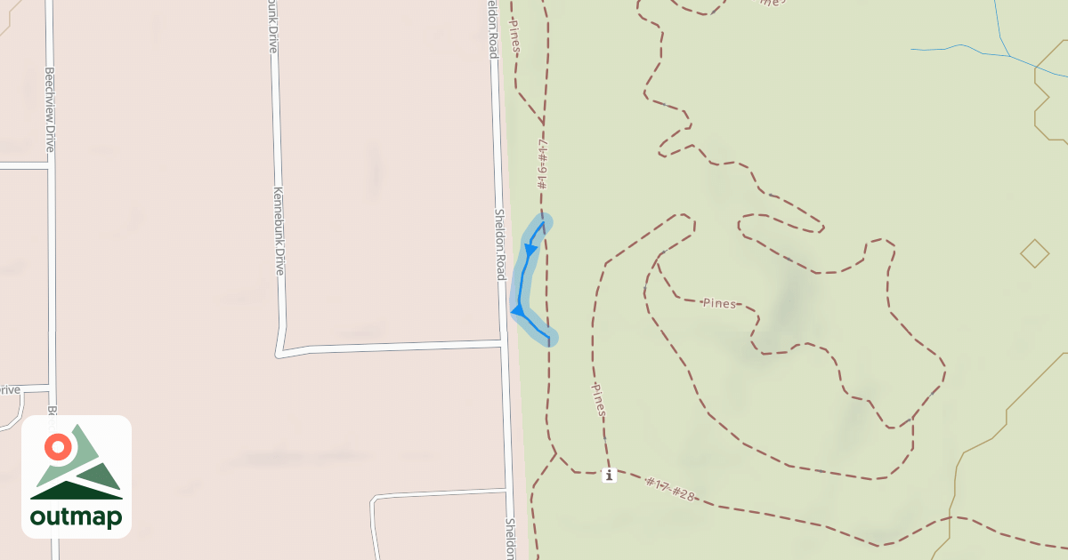 Map of Pines