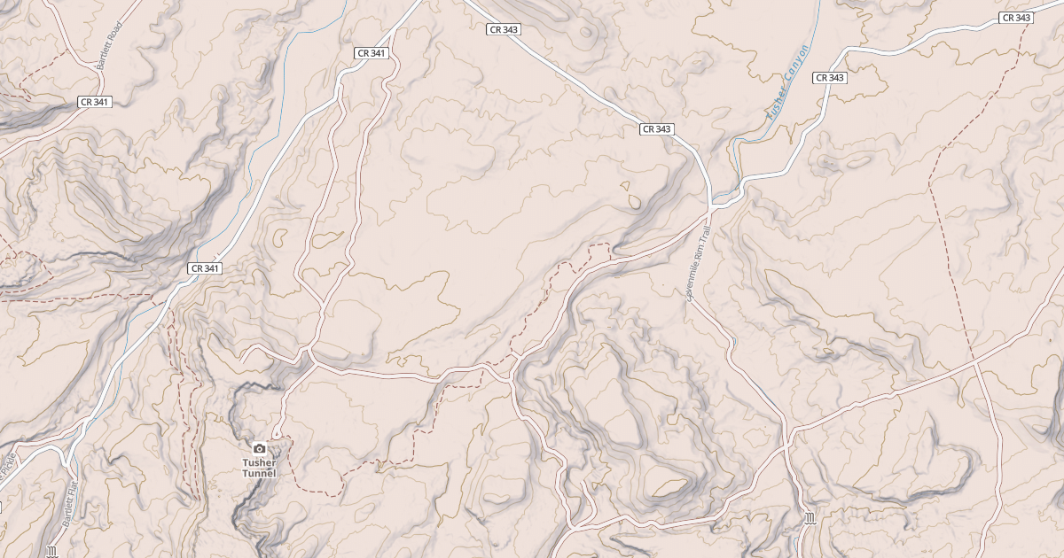 Map preview of BLM National GTLF Public Motorized Roads 1f924db3-3bc5-4da1-bf15-b2ef04231610