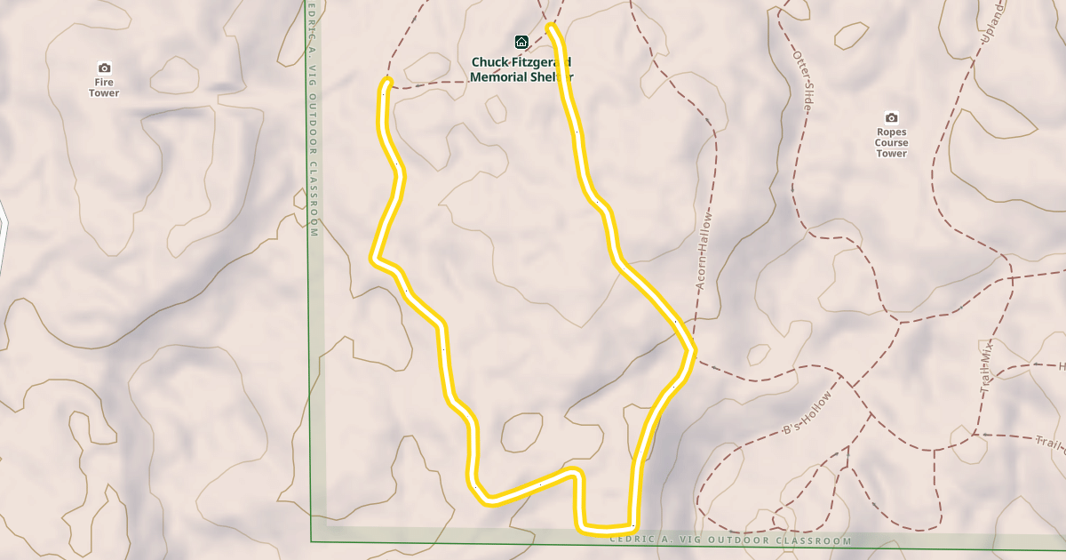 Map preview of Towering Pines Loop