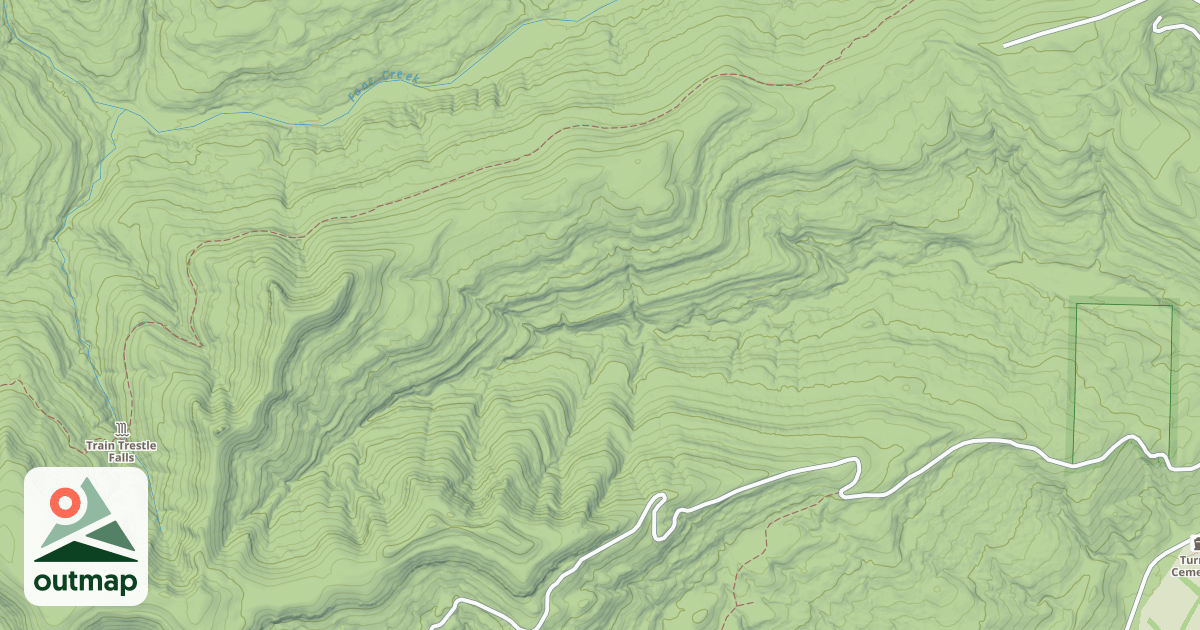 Map of USFS National Forest System Roads {DB30006A-56E8-4825-9BA2-8EA930202FBE}