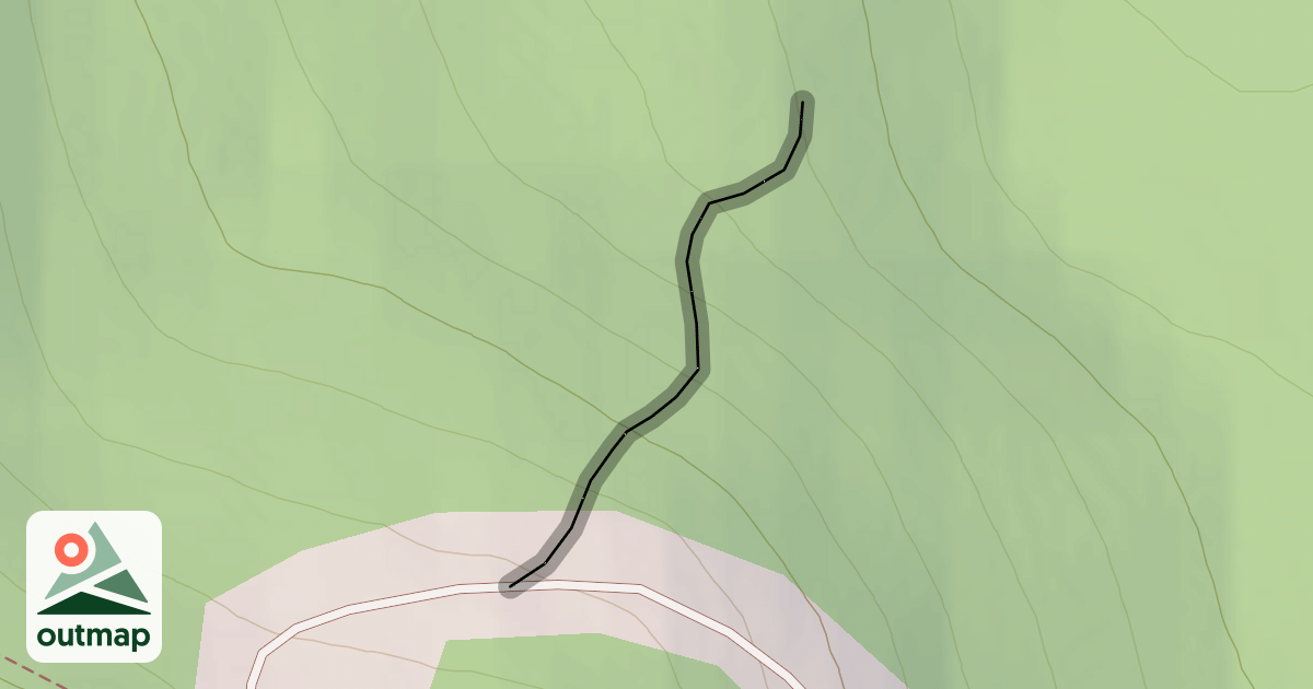 Map of White Rabbit