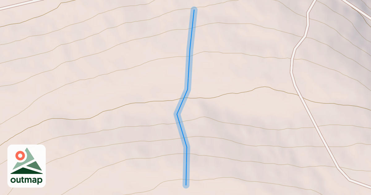 Map of Snake Tracks