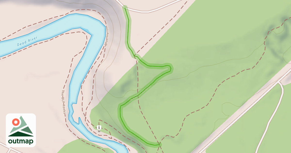 Map of Electric Avenue