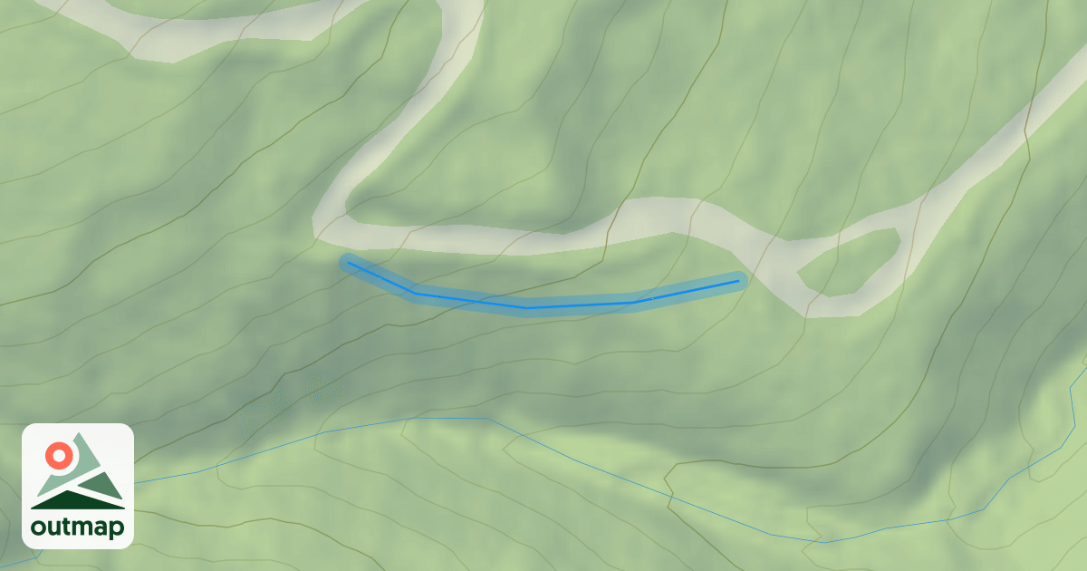 Map of Walt's Woods