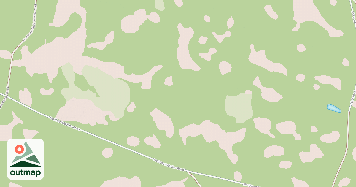 Map of USFS National Forest System Roads {D359CCB8-1B9D-4849-93D2-D1C263AC64A0}