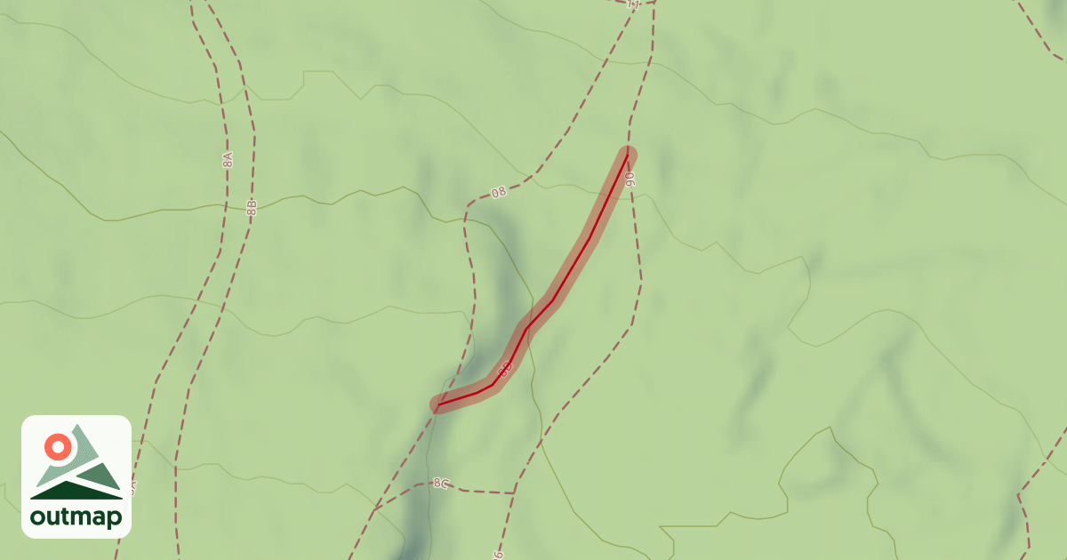 Map of 8D