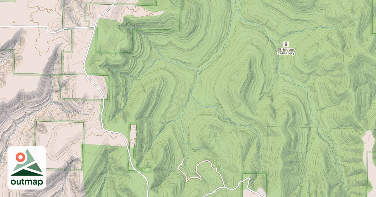 Map of USFS Motor Vehicle Use Map Roads {E6BF57FF-2A89-44E5-86CD-50C7EEC5E8DF}