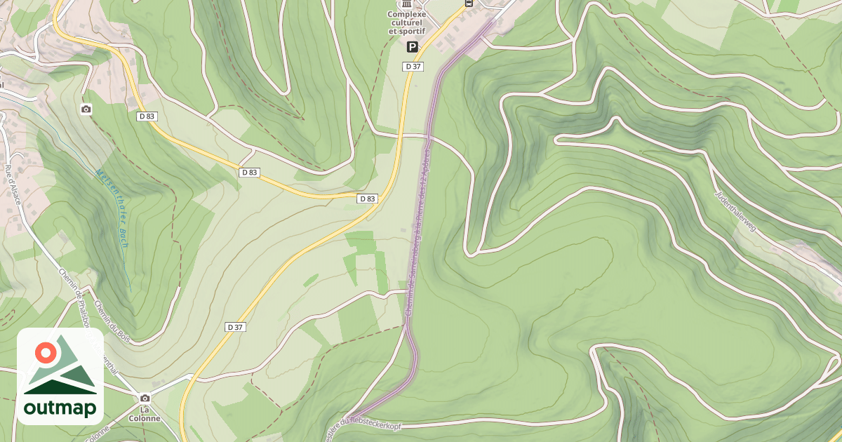 Map of Chemin de Sarreinsberg à la Pierre des 12 Apôtres