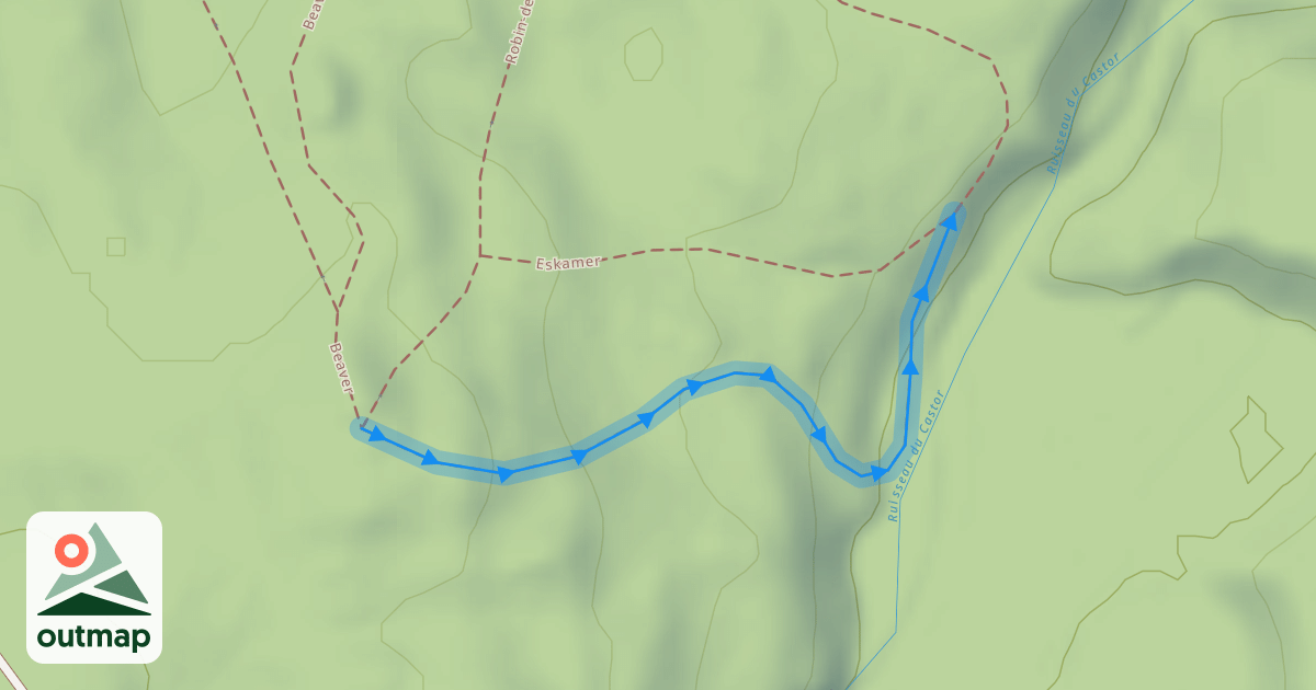 Map of Fever