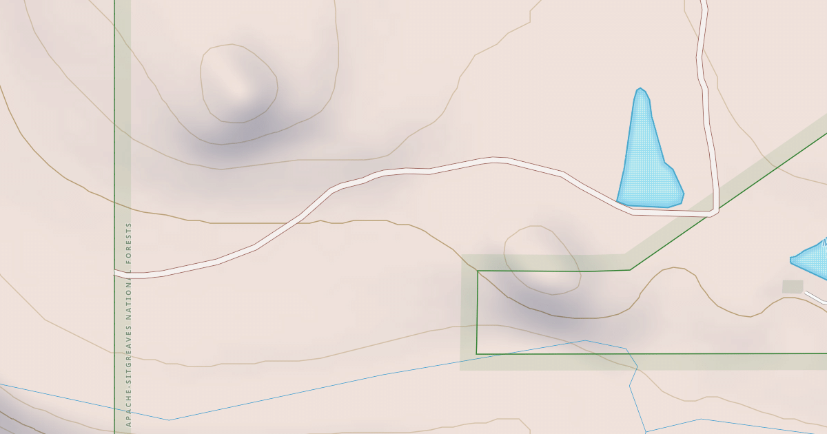 Map preview of USFS National Forest System Roads {F6038E1B-914F-402D-B750-05DD138F81D2}