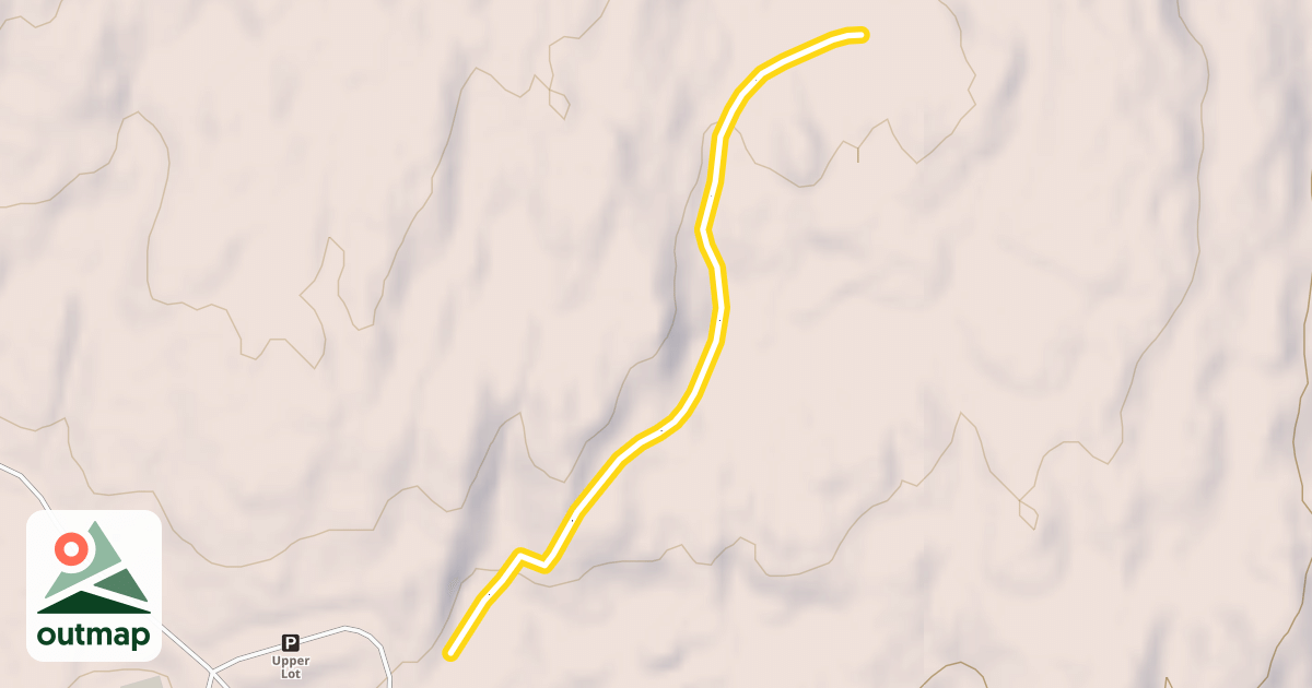 Map of Squirell