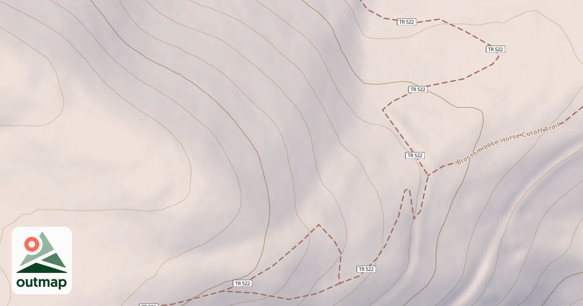 Map of Blossom Lake