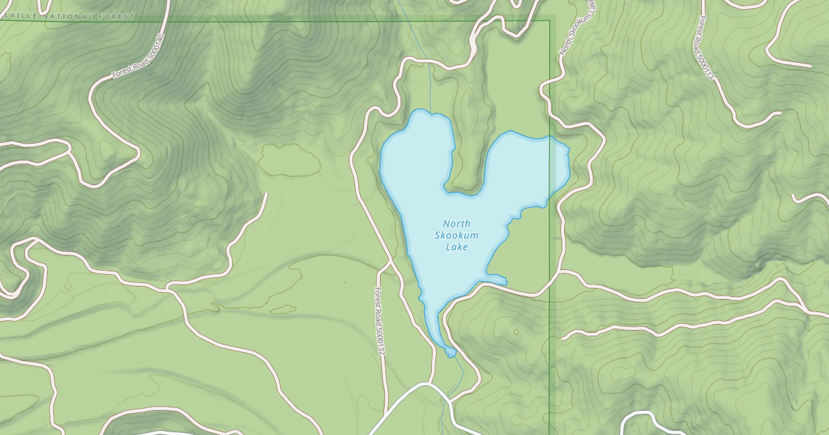 Map preview of USFS Motor Vehicle Use Map Roads {319ADBDC-66E1-4419-AF8D-C3C89F049041}