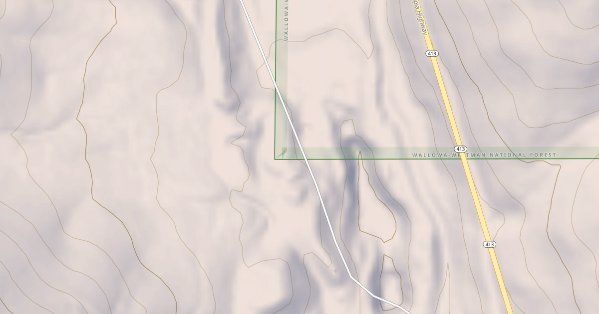 Map preview of USFS National Forest System Roads {7F53A4D0-C732-4843-ACD6-99DC8F5D959F}