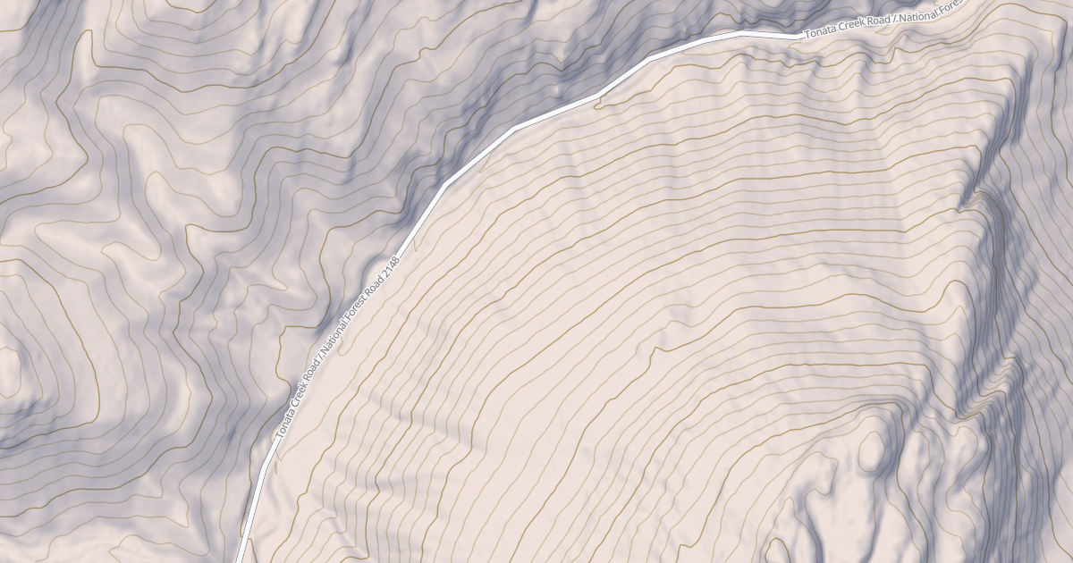 Map preview of USFS Motor Vehicle Use Map Roads {37D345AA-137D-4575-BCD4-487D67489AF3}