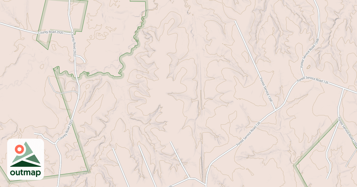 Map of USFS National Forest System Roads {815DB138-51A7-4A8D-B891-2E2FCDA43676}