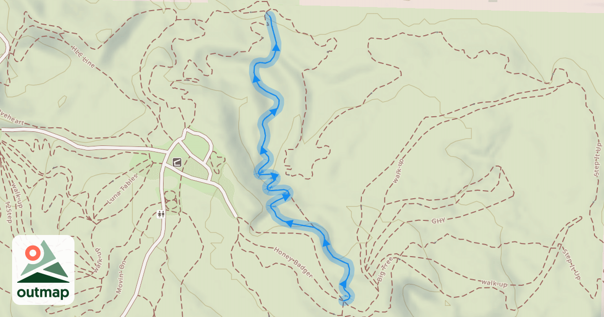 Map of Ryan's Eternal Flow