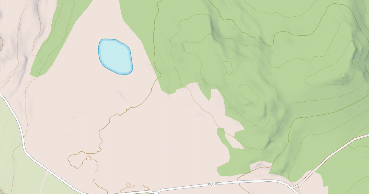 Map preview of USFS National Forest System Roads {0EF08C60-6536-46AB-984D-21179B544CA3}