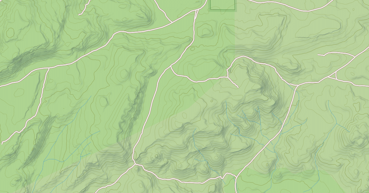 Map preview of USFS Motor Vehicle Use Map Roads {5A6E08AD-F98A-4DB4-AE2E-7BDB25AF4707}