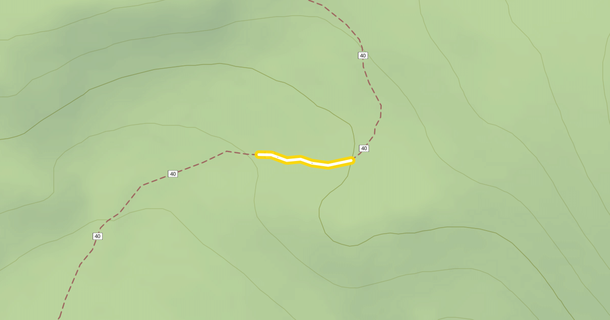 Map preview of Swampy-Dutchman Trail #40