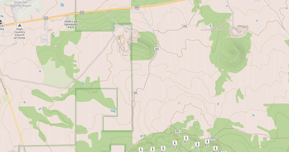 Map preview of USFS National Forest System Roads {070CB3BC-1106-4B49-B0FE-A1289BFB96B5}
