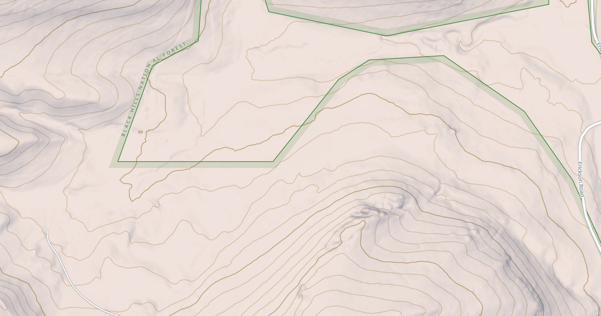 Map preview of ERICKSON BR 1F