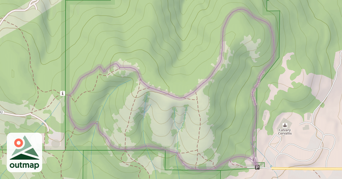 Map of Main Chip Ross Loop
