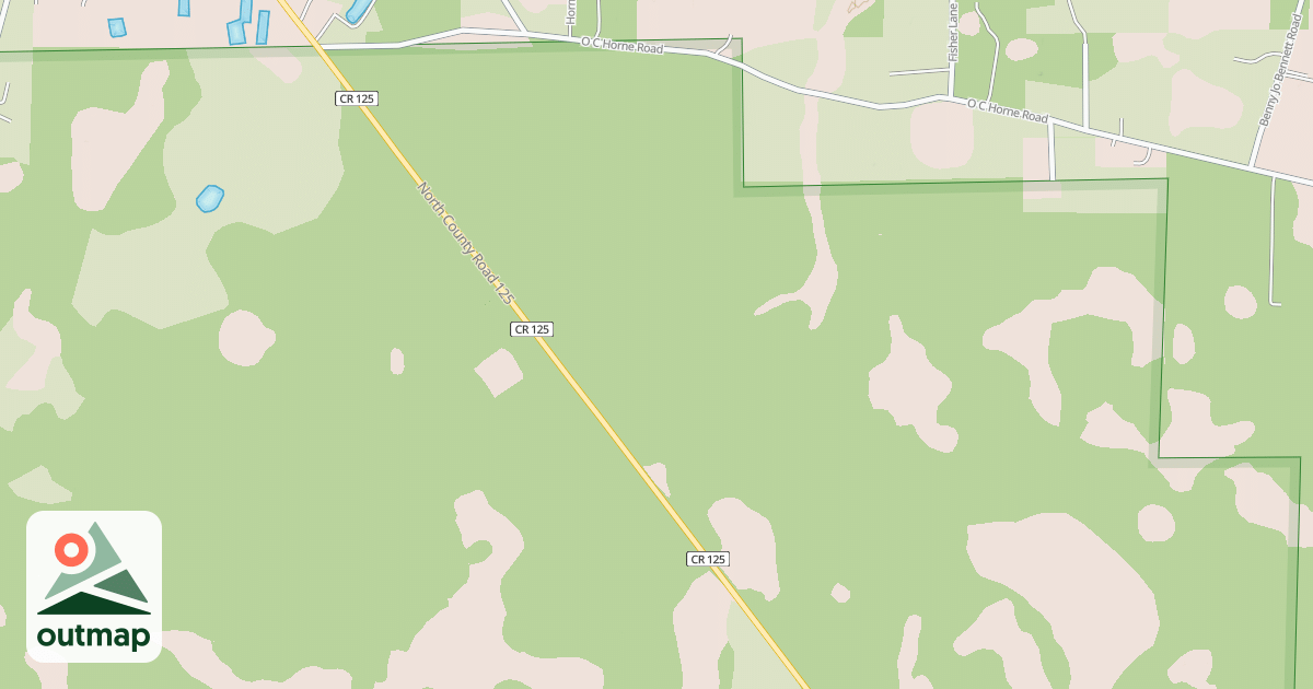 Map of USFS Motor Vehicle Use Map Roads {F3BC55F8-5584-4FC3-9102-DAD67CAB92EE}